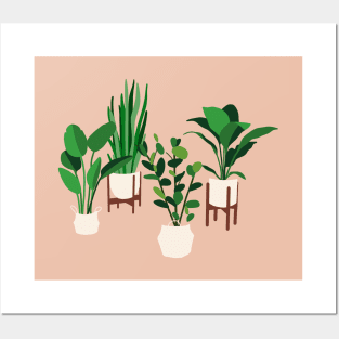 My houseplants Posters and Art